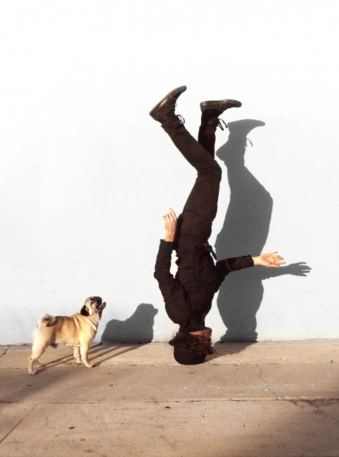 MIKESBUTT_pug head stand